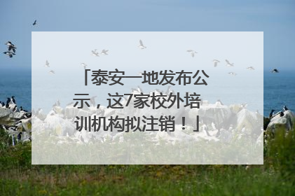 泰安一地发布公示，这7家校外培训机构拟注销！