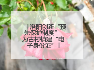 洛阳创新“预先保护制度” 为古村镇建“电子身份证”