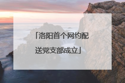 洛阳首个网约配送党支部成立