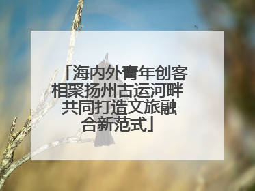 海内外青年创客相聚扬州古运河畔 共同打造文旅融合新范式