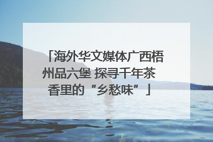海外华文媒体广西梧州品六堡 探寻千年茶香里的“乡愁味”
