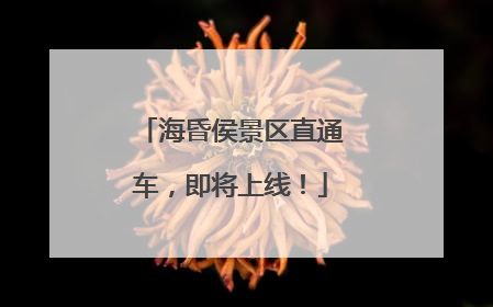 海昏侯景区直通车，即将上线！