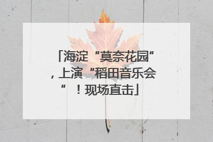 海淀“莫奈花园”，上演“稻田音乐会”！现场直击