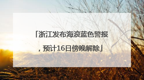 浙江发布海浪蓝色警报，预计16日傍晚解除