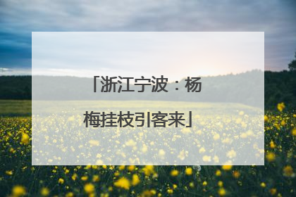 浙江宁波：杨梅挂枝引客来
