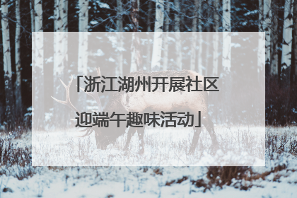 浙江湖州开展社区迎端午趣味活动