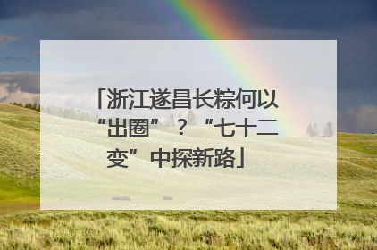 浙江遂昌长粽何以“出圈”？“七十二变”中探新路