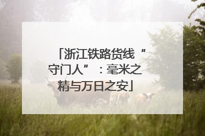 浙江铁路货线“守门人”：毫米之精与万日之安