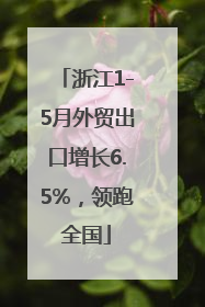浙江1-5月外贸出口增长6.5%，领跑全国