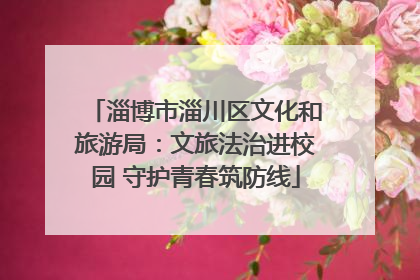 淄博市淄川区文化和旅游局：文旅法治进校园 守护青春筑防线