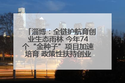 淄博：全链护航育创业生态雨林 今年74个“金种子”项目加速培育 政策性扶持创业9754人