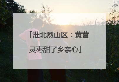 淮北烈山区：黄营灵枣甜了乡亲心
