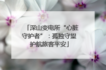 深山变电所“心脏守护者”：孤独守望护航旅客平安
