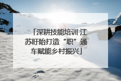 深耕技能培训 江苏盱眙打造“职”通车赋能乡村振兴