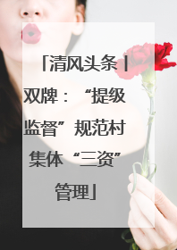 清风头条丨双牌：“提级监督”规范村集体“三资”管理