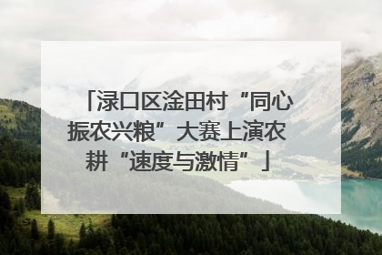 渌口区淦田村“同心振农兴粮”大赛上演农耕“速度与激情”