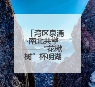 湾区泉涌·南北共擎——“花楸树”杯明湖慈善公益跑成功举办