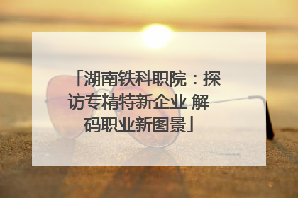 湖南铁科职院：探访专精特新企业 解码职业新图景