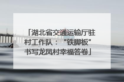 湖北省交通运输厅驻村工作队：“铁脚板”书写龙凤村幸福答卷