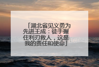 湖北省见义勇为先进王成：徒手握住利刃救人，这是我的责任和使命