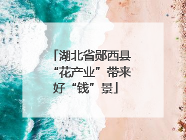 湖北省郧西县“花产业”带来好“钱”景
