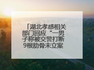 湖北孝感相关部门回应“一男子称被交警打断9根肋骨未立案”：已成立联合专班开展工作