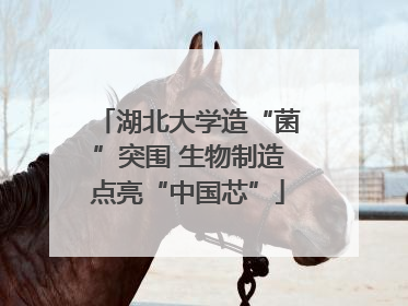 湖北大学造“菌”突围 生物制造点亮“中国芯”
