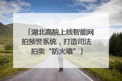 湖北高院上线智能网拍预警系统，打造司法拍卖“防火墙”