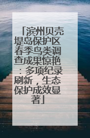 滨州贝壳堤岛保护区春季鸟类调查成果惊艳：多项纪录刷新，生态保护成效显著