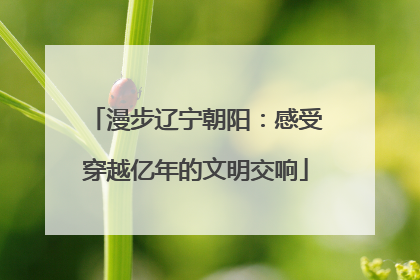 漫步辽宁朝阳：感受穿越亿年的文明交响