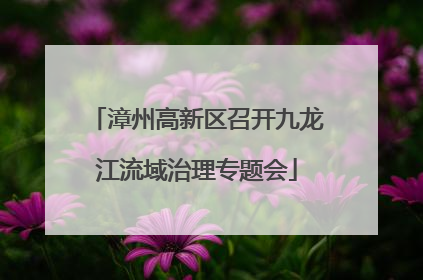 漳州高新区召开九龙江流域治理专题会