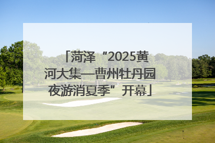 菏泽“2025黄河大集—曹州牡丹园夜游消夏季”开幕