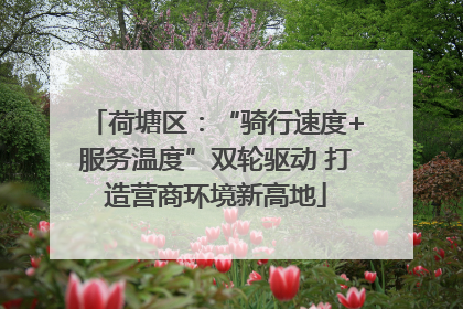 荷塘区：“骑行速度+服务温度”双轮驱动 打造营商环境新高地