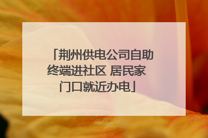 荆州供电公司自助终端进社区 居民家门口就近办电