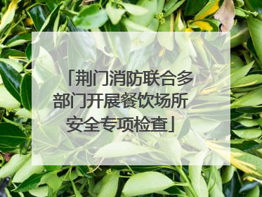 荆门消防联合多部门开展餐饮场所安全专项检查
