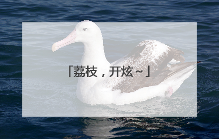 荔枝，开炫～