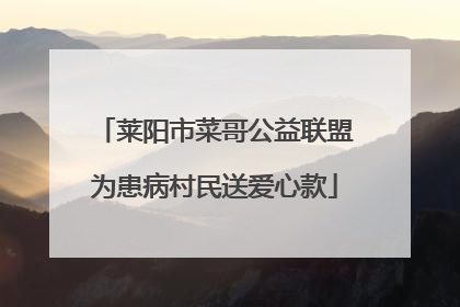 莱阳市菜哥公益联盟为患病村民送爱心款