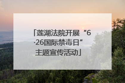 莲湖法院开展“6·26国际禁毒日”主题宣传活动