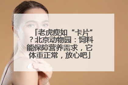 老虎瘦如“卡片”？北京动物园：饲料能保障营养需求，它体重正常，放心吧