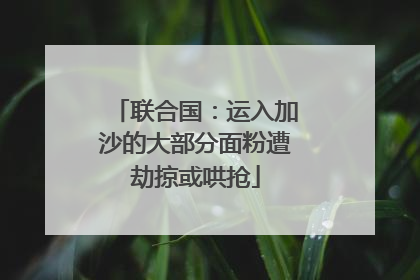 联合国：运入加沙的大部分面粉遭劫掠或哄抢