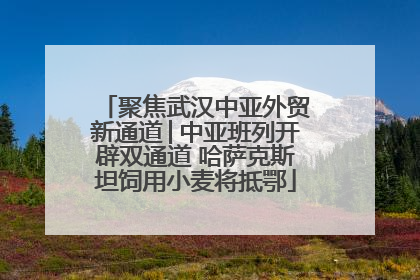 聚焦武汉中亚外贸新通道│中亚班列开辟双通道 哈萨克斯坦饲用小麦将抵鄂