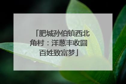 肥城孙伯镇西北角村：洋葱丰收圆百姓致富梦