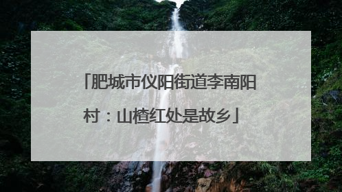 肥城市仪阳街道李南阳村:山楂红处是故乡