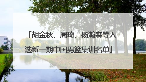 胡金秋、周琦、杨瀚森等入选新一期中国男篮集训名单