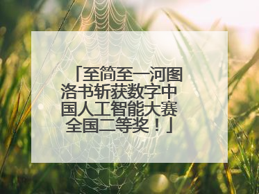 至简至一河图洛书斩获数字中国人工智能大赛全国二等奖！