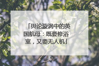 舆论漩涡中的英国航母：既要修浴室，又要无人机