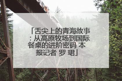 舌尖上的青海故事：从高原牧场到国际餐桌的进阶密码 本报记者 罗 珺