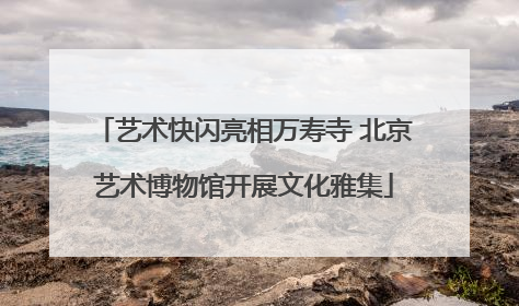 艺术快闪亮相万寿寺 北京艺术博物馆开展文化雅集