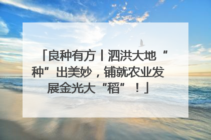 良种有方丨泗洪大地“种”出美妙，铺就农业发展金光大“稻”！