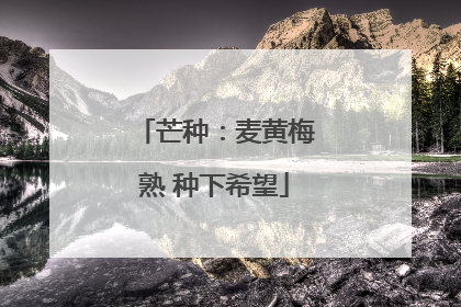 芒种：麦黄梅熟 种下希望